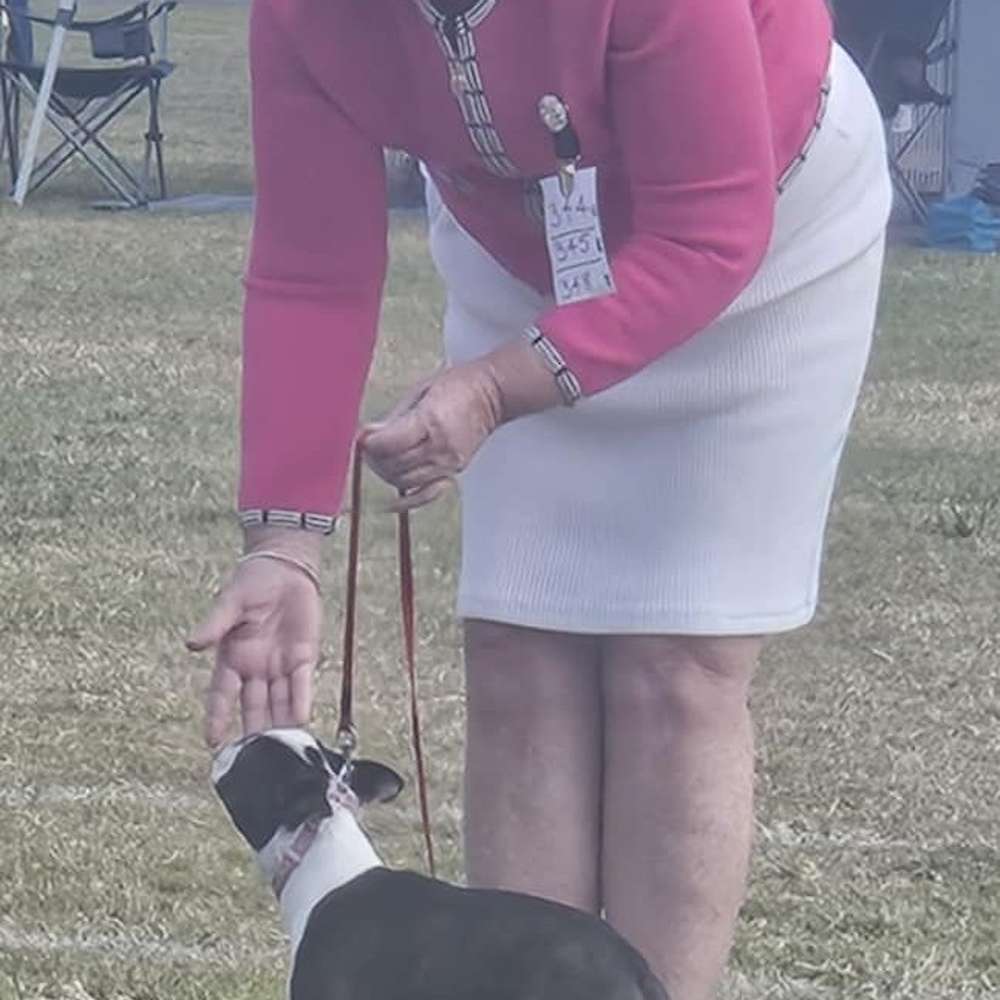 Shebos Upikdafinetimetoleaveme